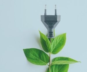 10 simple ways to live more sustainably