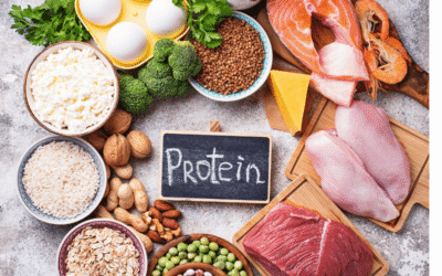 Fuel Your Day_ The Importance of Protein and Ways to Increase Intake